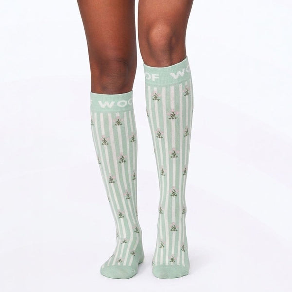 //my.drwoofapparel.com/cdn/shopifycloud/storefront/assets/no-image-2048-a2addb12_grande.gif