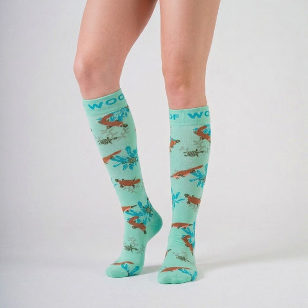 //my.drwoofapparel.com/cdn/shopifycloud/storefront/assets/no-image-2048-a2addb12_grande.gif