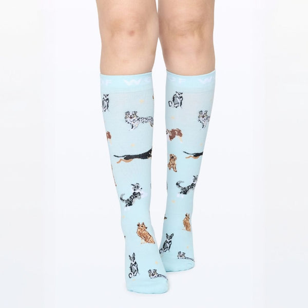 //my.drwoofapparel.com/cdn/shopifycloud/storefront/assets/no-image-2048-a2addb12_grande.gif
