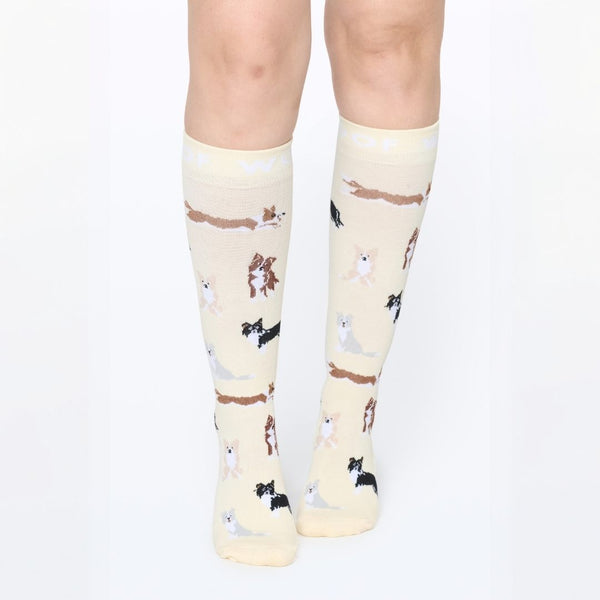 //my.drwoofapparel.com/cdn/shopifycloud/storefront/assets/no-image-2048-a2addb12_grande.gif